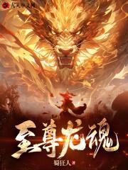 至尊龙魂叶如龙免费阅读