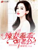辣妻乖乖叫老公全文免费