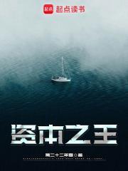 资本之王作者