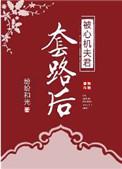 被心机夫君套路以后