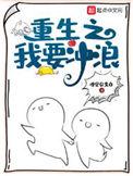 重生之我要冲浪几个女主