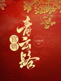 官路青云梯免费阅读