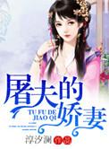 屠夫的娇妻完结